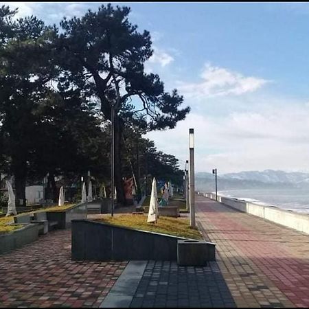 Apartment With Sea View 37 コブレチ エクステリア 写真