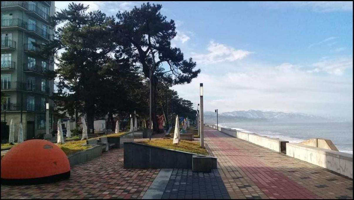 Apartment With Sea View 37 コブレチ エクステリア 写真